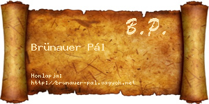 Brünauer Pál névjegykártya